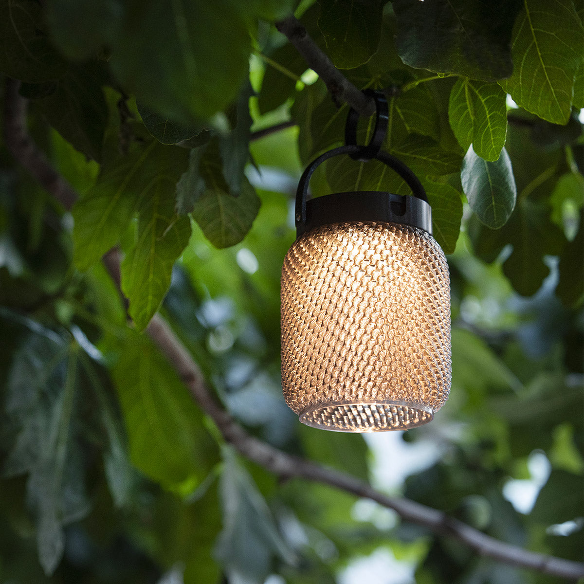 LOLIE – Lampion à suspendre – vue 2 – Exception Design